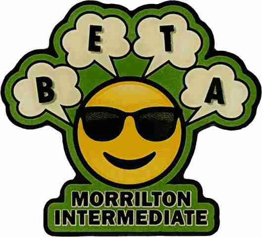 Custom offset print beta club trading pin example