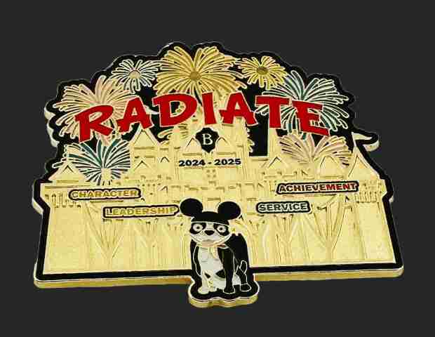 2024-25 Custom Beta Trading Pin Radiate